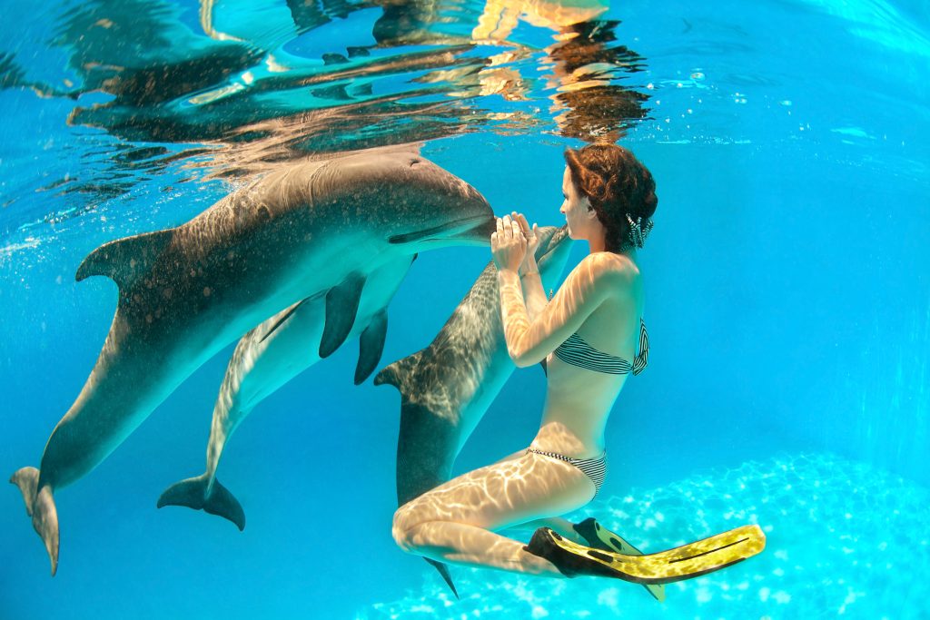 Dolphin-House-in-Hurghada-1024x683
